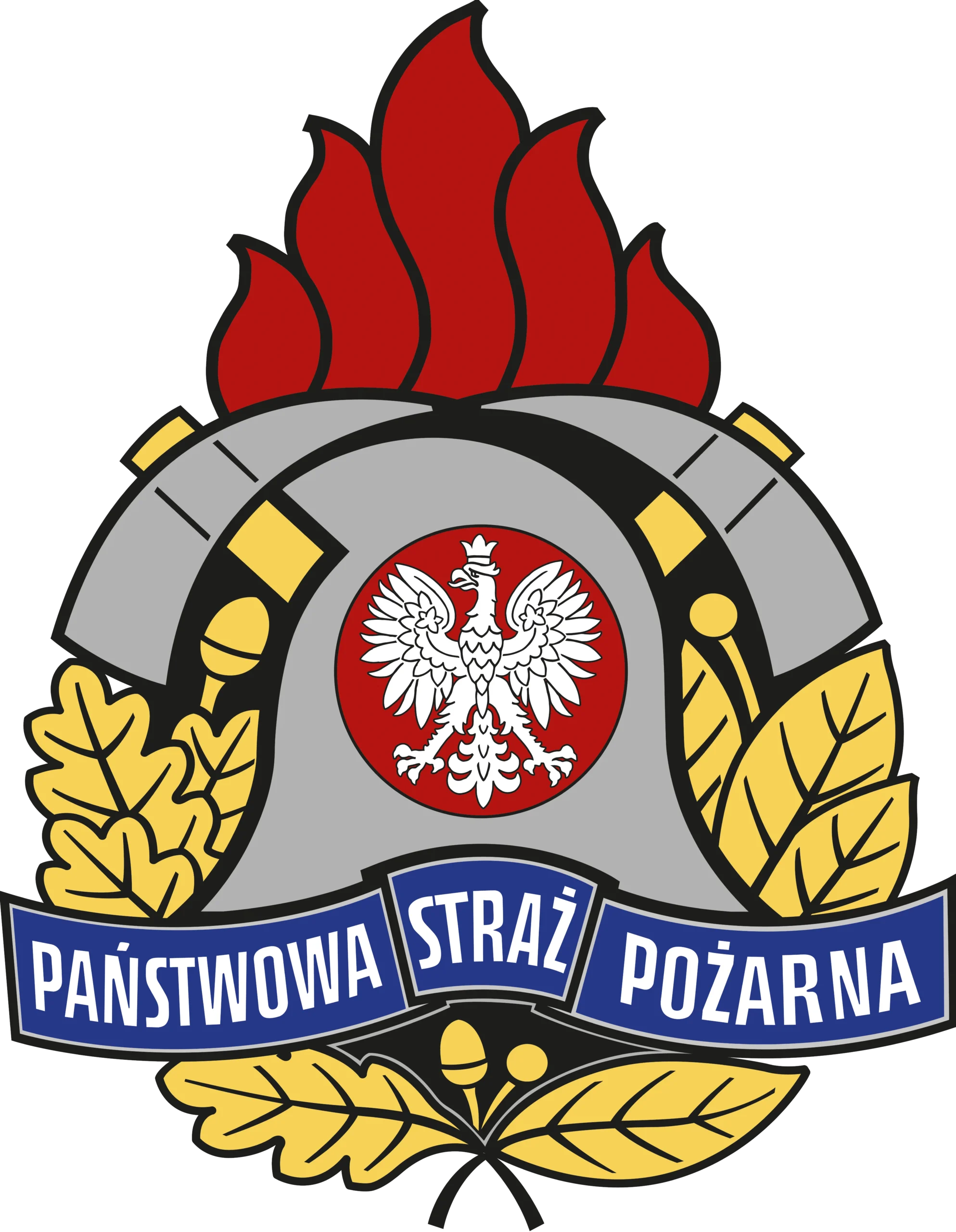 Państwowa Straż Pożarna